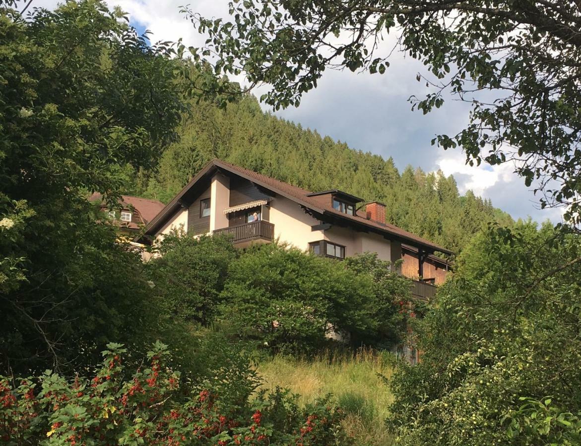Haus Agnes, Murau Exterior photo